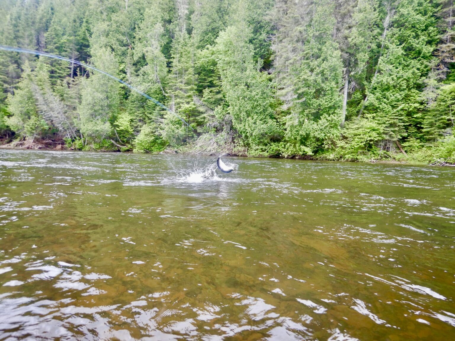 A seven-day fishing trip - Salmon Lodge — Camp Bonaventure – Camp Bonaventure
